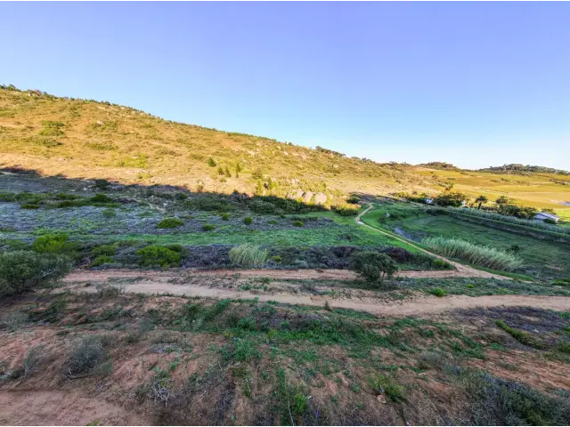  38  Rhebokskloof Estate, Rhebokskloof Estate, Paarl 